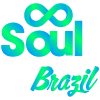 logo soul tour brasil